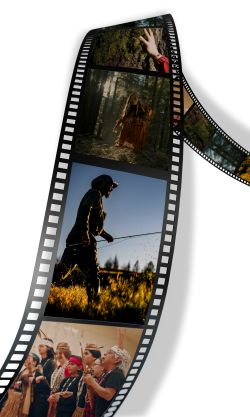 film fest graphic