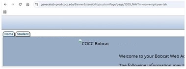 Bobcat Web Account Visual 