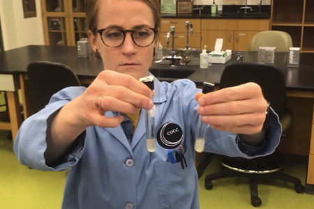 Amanda Layton, Assistant Professor of Biology Amanda Layton, Assistant Professor of Biology