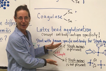 Emma Chaput, Associate Professor of Biology Emma Chaput, Associate Professor of Biology