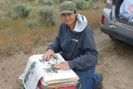 Sarah Fuller collecting plants into a plant press