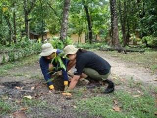 Participants Planting Tree Participants Planting Tree